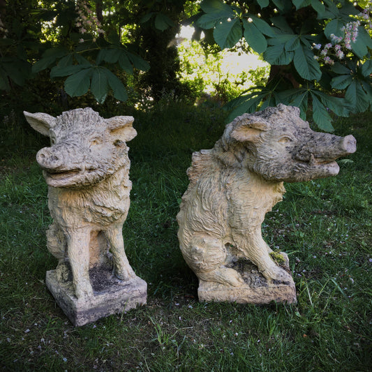 Pair of Wild Boar