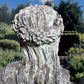 Carrara Marble Bust of Flora on Plinth Late 20th Century