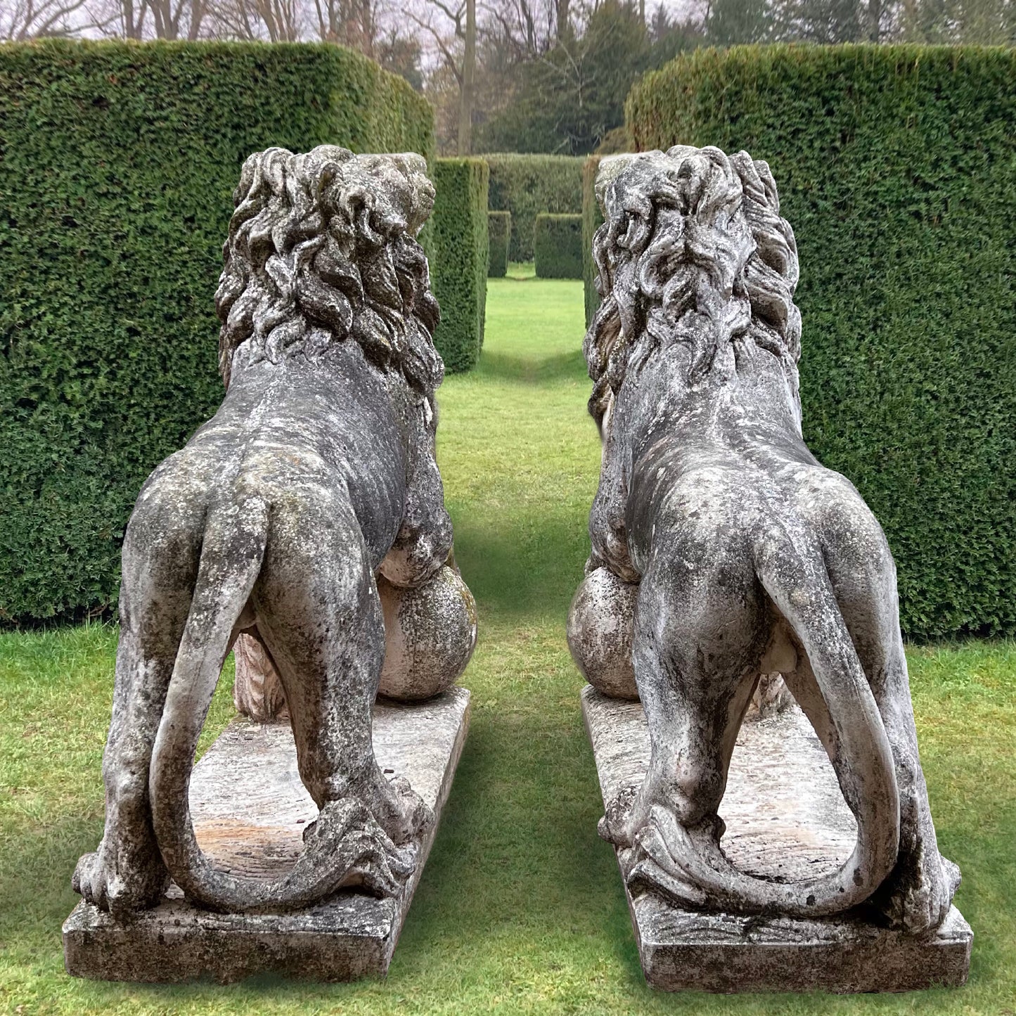 Gigantic Pair of Medici Lion Statues